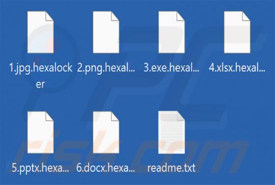Rançongiciel HexaLocker