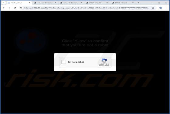 Publicités netchainspan.com