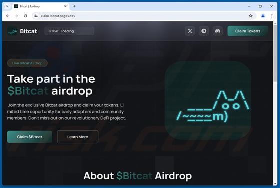 $Bitcat Airdrop arnaque