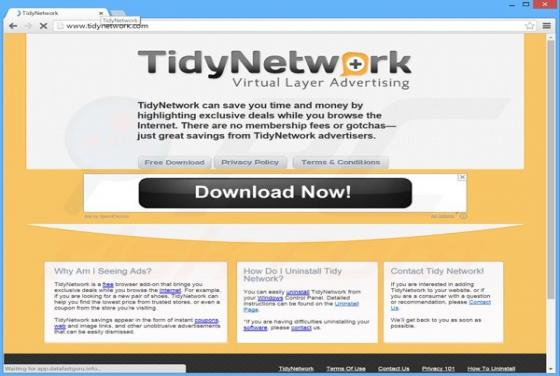 Publicités TidyNetwork