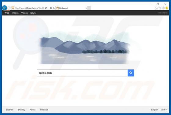 Redirection vers Didisearch.com