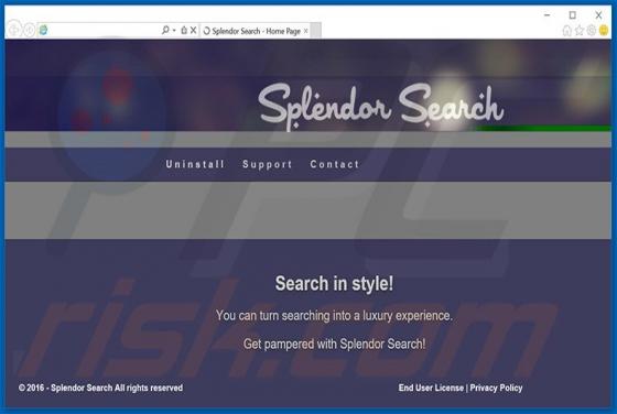 Publicités Splendor Search