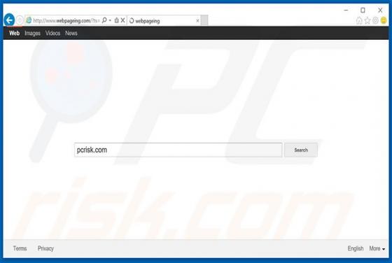 Redirection vers Webpageing.com