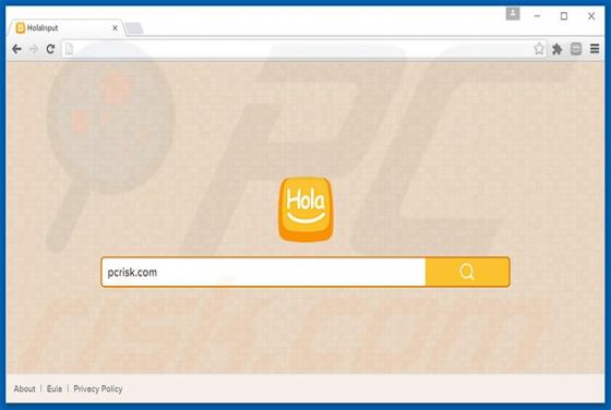 Redirection vers Search.holainput.com