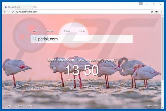 Redirection vers Lovesearchweb.com