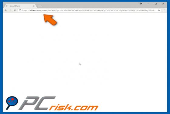 Redirection vers White-canary.com POP-UP