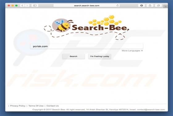 Redirection vers Search.search-bee.com (Mac)
