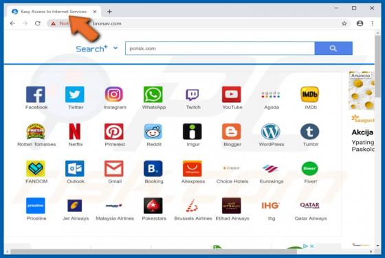 Pirate de navigateur 'Easy Access to Internet Services'