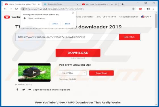 Virus Youtubnow.com