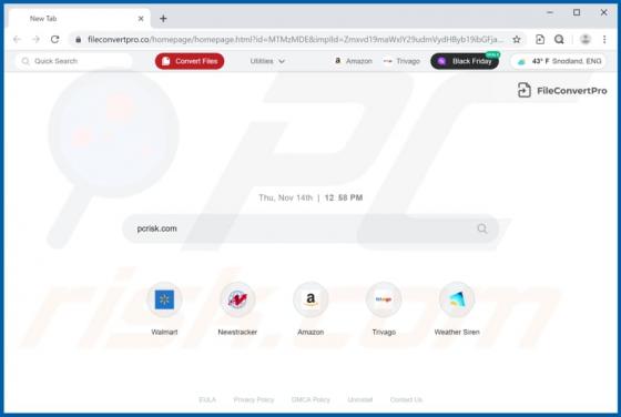 Pirate de navigateur FileConvertPro