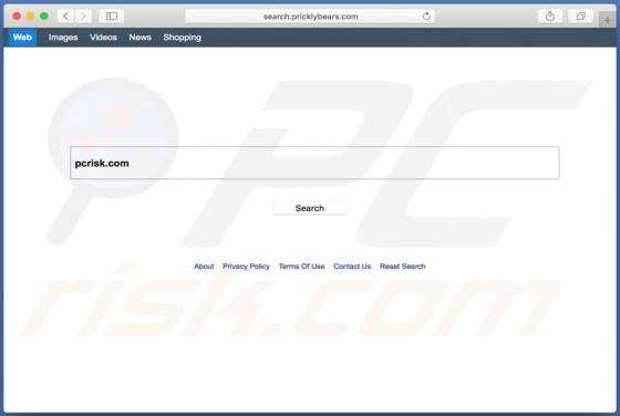 Redirection Search.pricklybears.com (Mac)