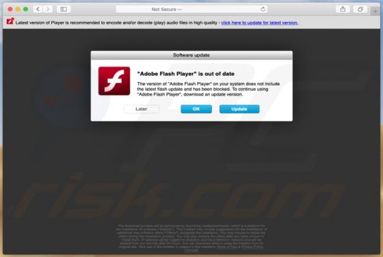 POP-UP Arnaque "Adobe Flash Player" Is Out Of Date (Mac)