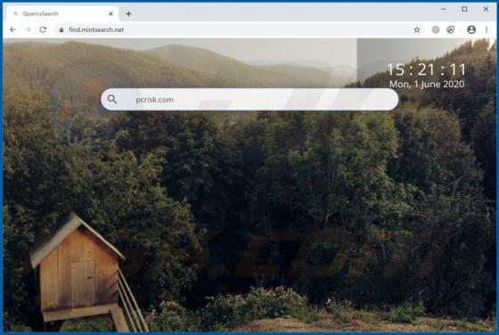 Pirate de Navigateur Mint Search